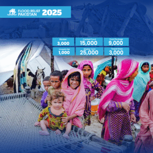 Donate for Flood Relief in Pakistan