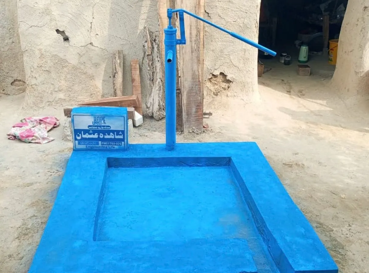 Clean Water Project – Chikenumber 321 TDA, Layyah